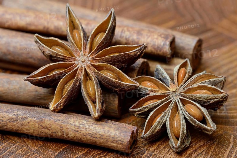 Fruit of star anise and cinnamon sticks