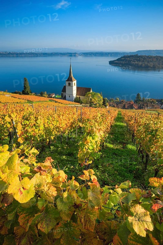 Ligerz on Lake Biel