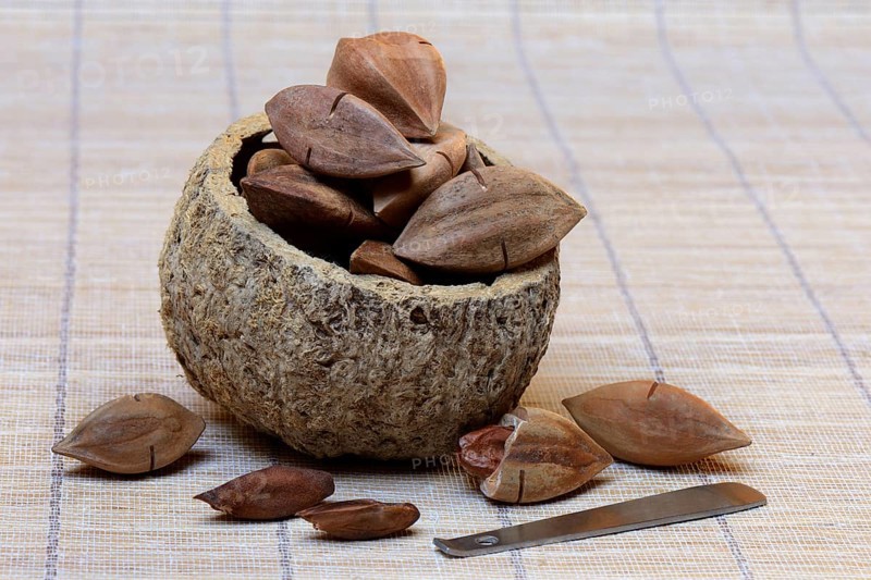 Pre-scored and opened pilinuts with pili crackers