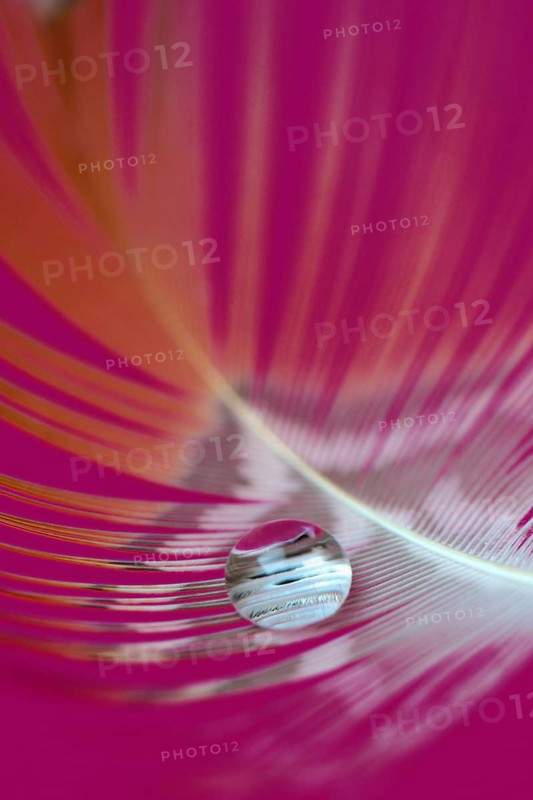 Water drops on spring