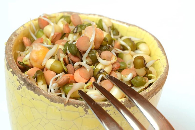 Mixed sprouts of lentils