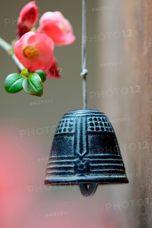 Bell with flower of an ornamental quince