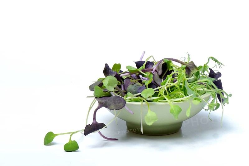 Seedlings of peas