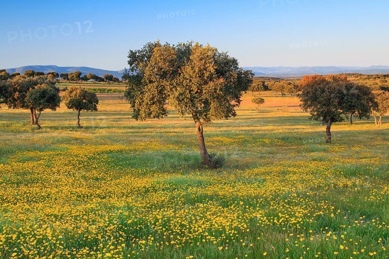 Landscape in Sierra de Andujar National Park