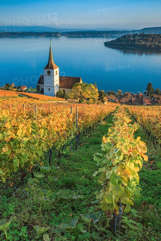 Ligerz on Lake Biel