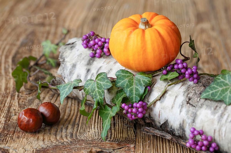 Autumnal decoration