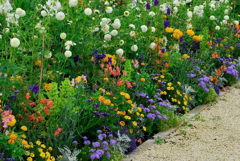 Flowerbed