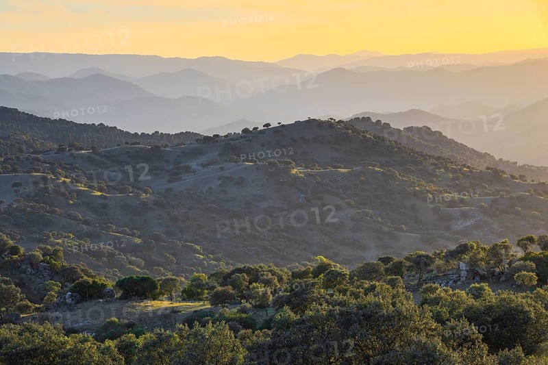 Typical landscape in the Sierra de Andujar National Park