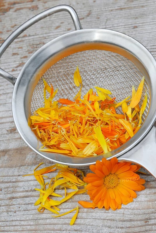 MarigoldsPetals in tea strainer