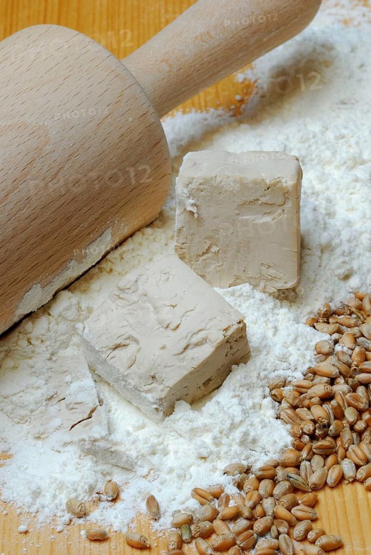Baker's yeast
