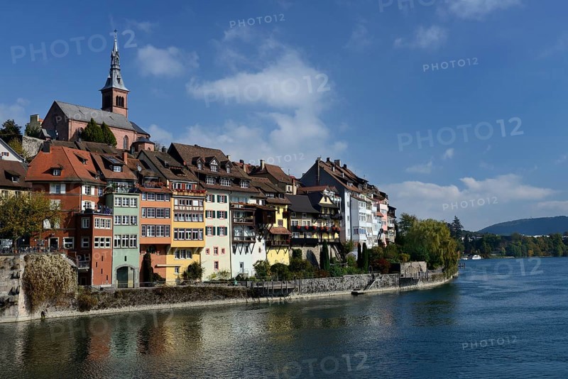 Rhine