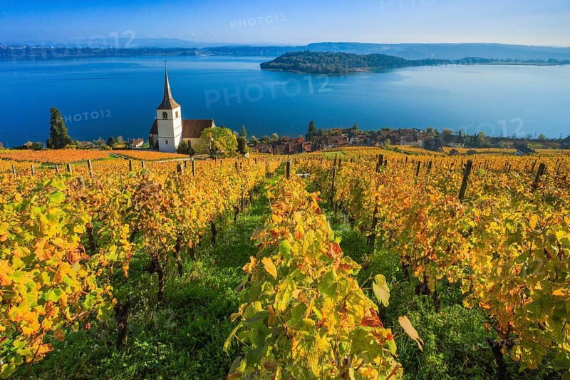 Ligerz on Lake Biel
