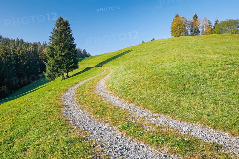 Field path on the Ratenpass