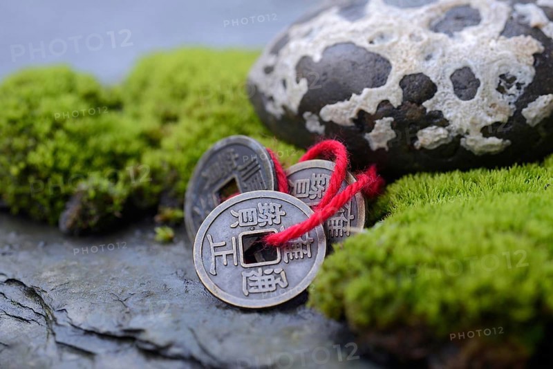 Chinese lucky coins with moss and stone