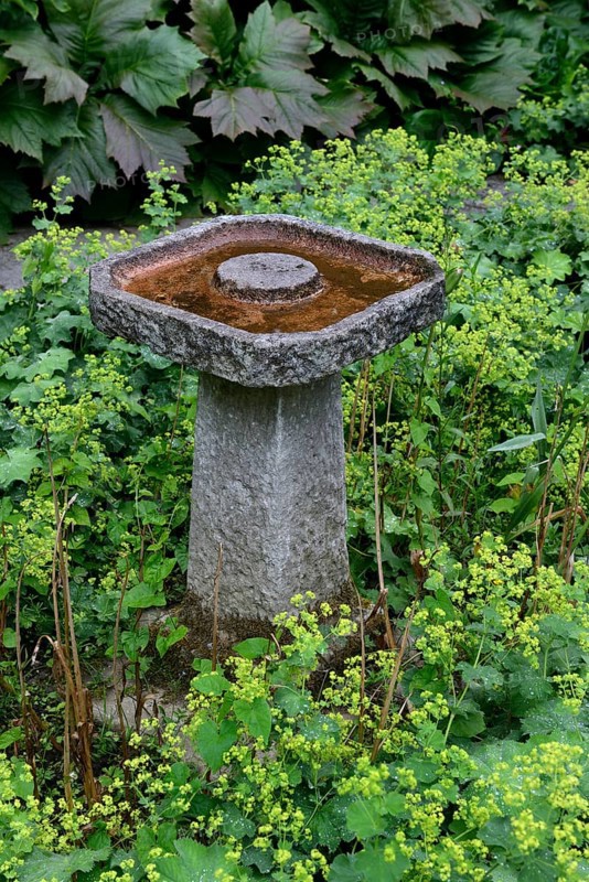 Stone bird bath in garden
