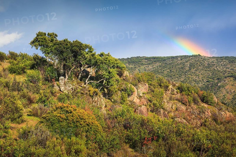 Typical landscape in the Sierra de Andujar National Park