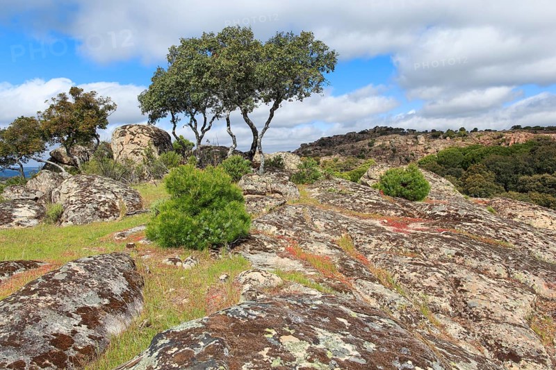 Typical landscape in Sierra de Andujar National Park