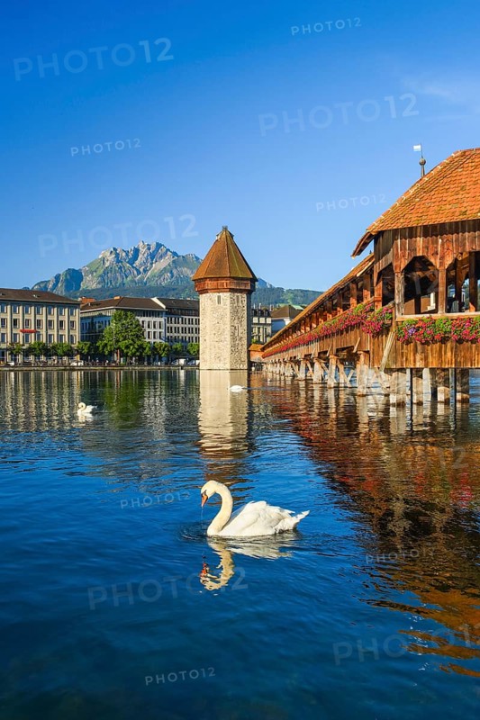 Chapel Bridge with Pilatus