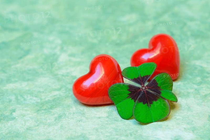 Lucky Clover and red hearts