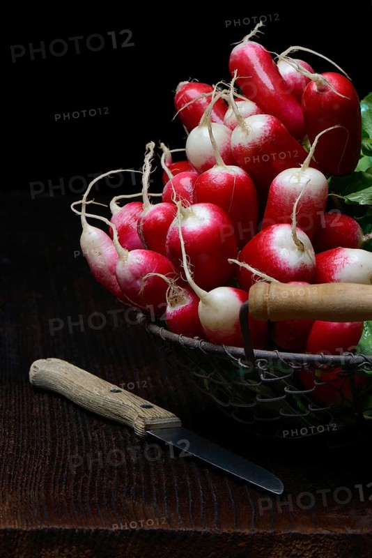 Red-white Red Radish