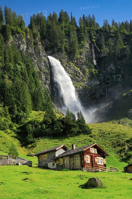 Staeubifall