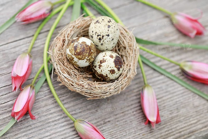 Natural Easter Decoration