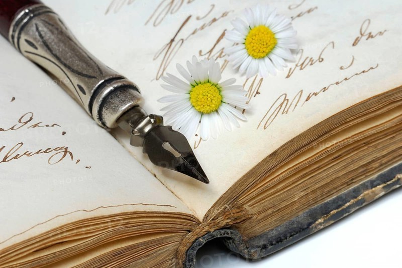 Pen with nib on book