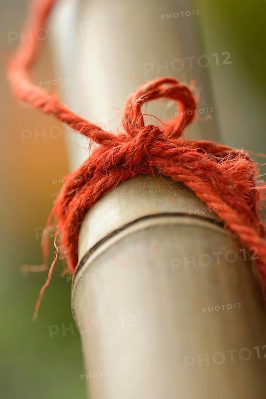Red cord on bamboo cane