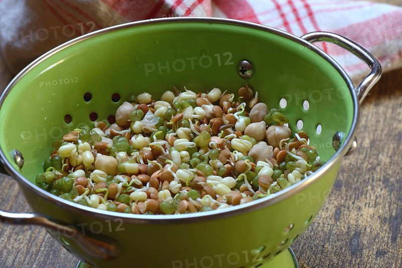 Mixed sprouts of lentils