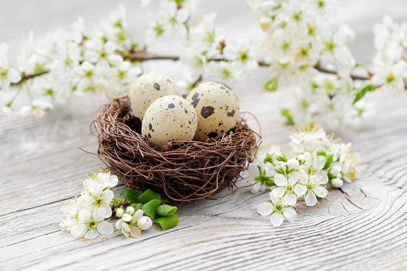 Easter decoration