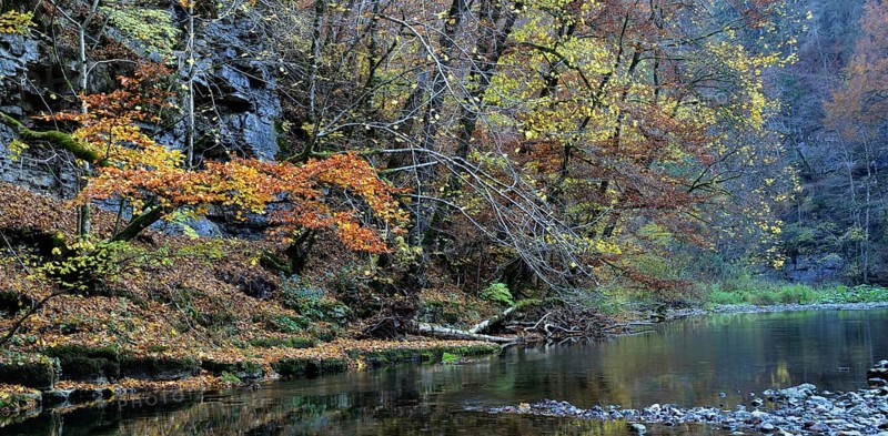 Wutach Gorge