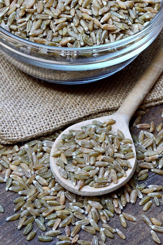 Unripe spelt grain