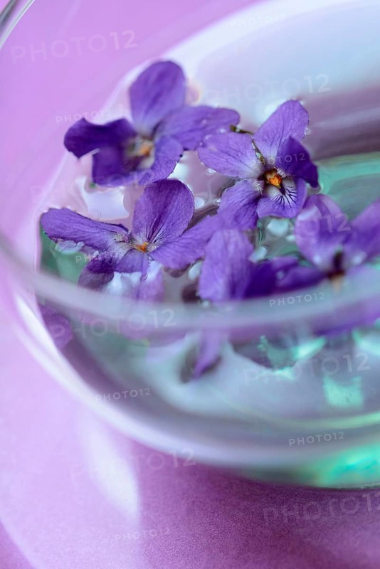 Violet tea