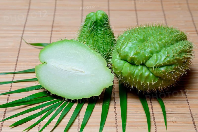 Chayote