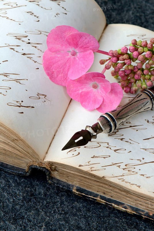 Penholder with quill on book with old manuscript and hydrangea blossom