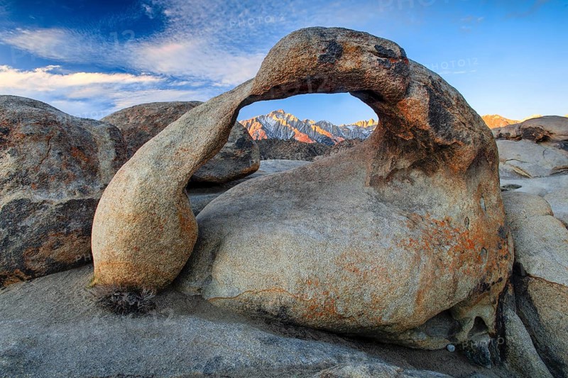 Mobius Arch