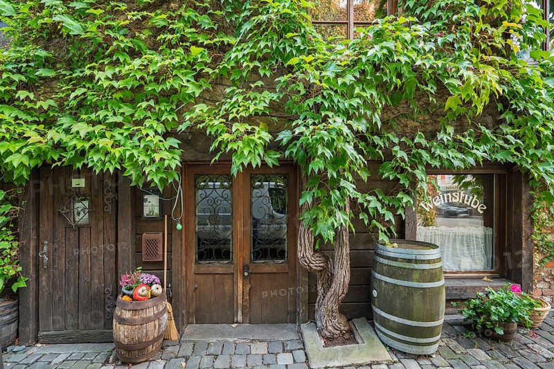 Entrance to the wine tavern