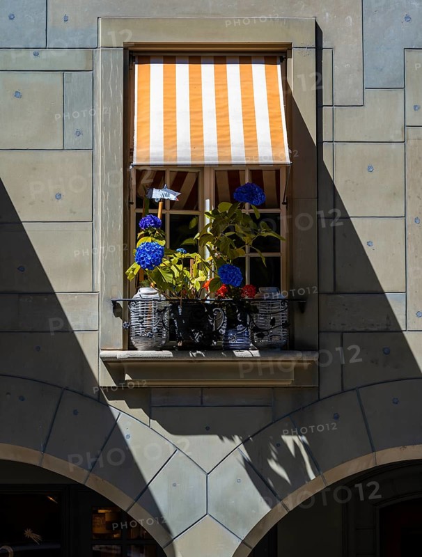 Facade of a house