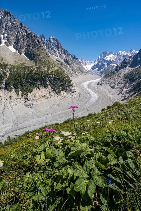 Glacier tongue Mer de Glace