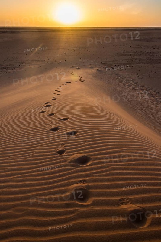 Footsteps in a sand dune at sunset