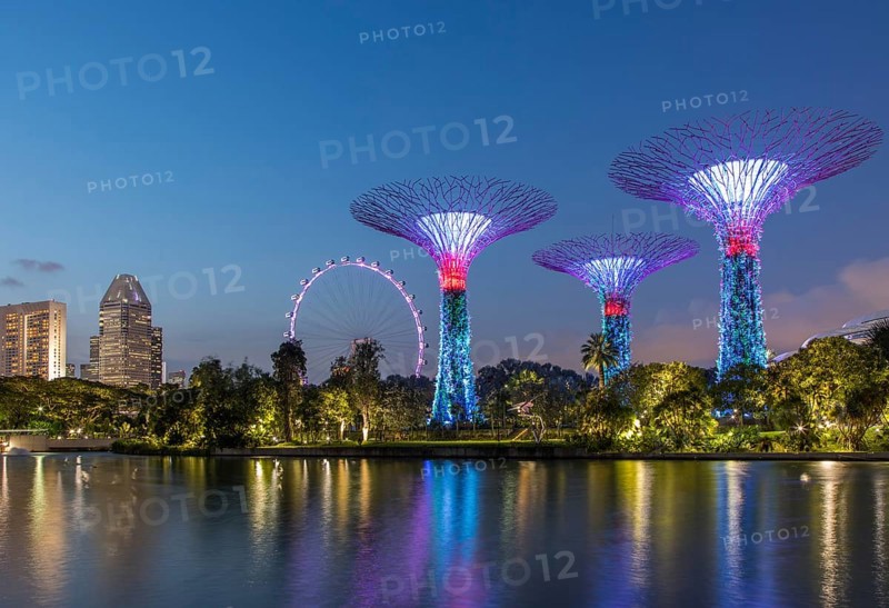 Supertrees at night