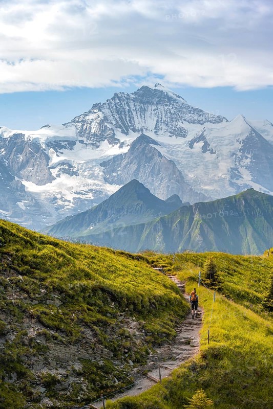 Hikers on hiking trail