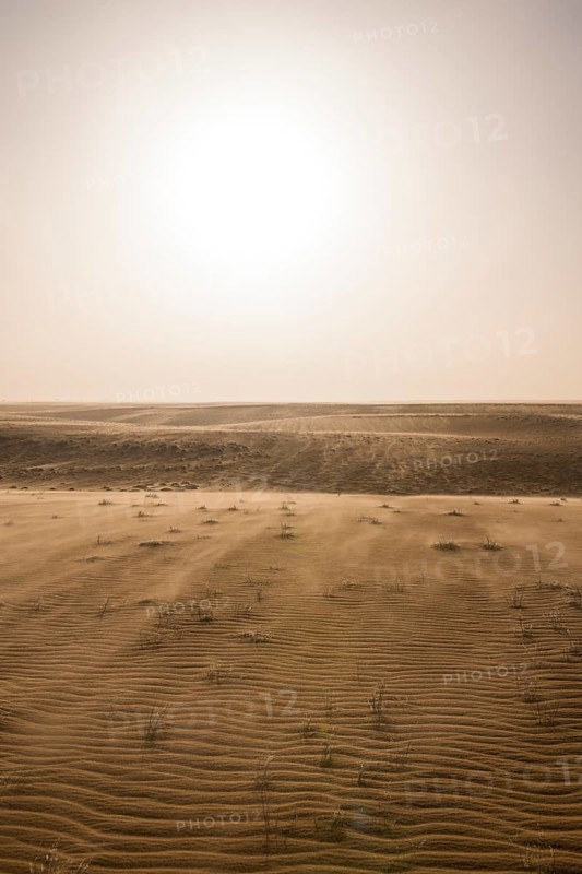 Backlit sand drifts