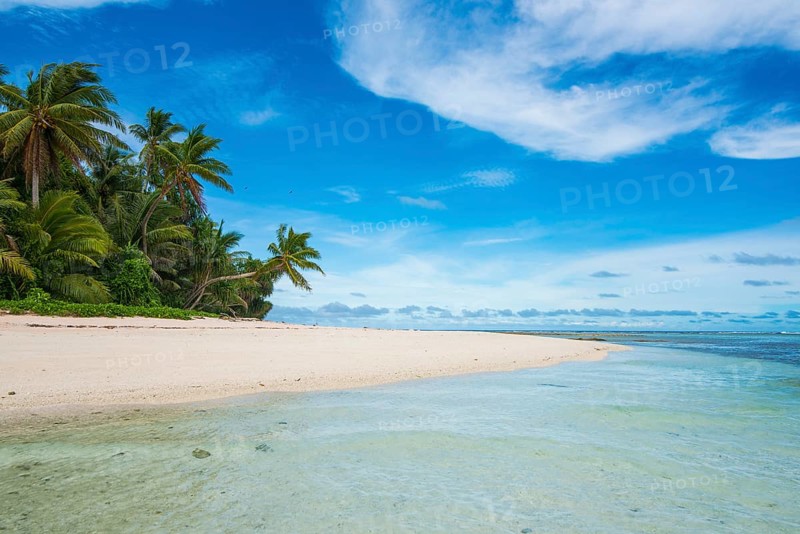White sand beach and turquoise water