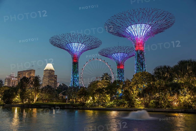 Supertrees at night