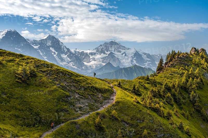 Hiker on hiking trail