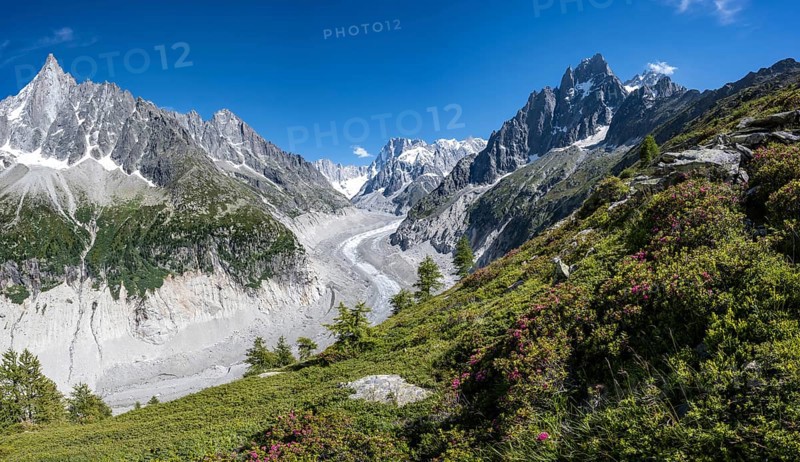 Glacier tongue Mer de Glace