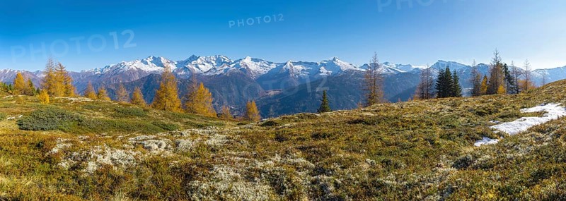 Autumn larch meadows