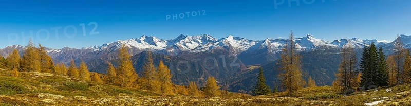 Autumn larch meadows
