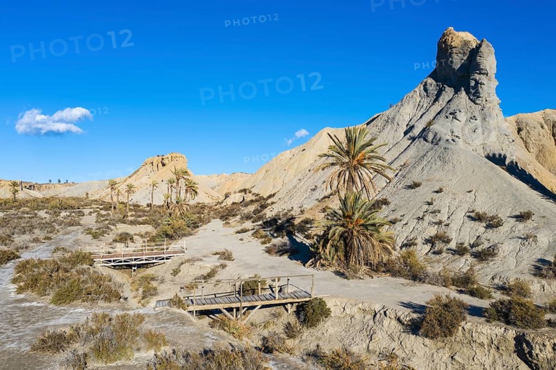 Bare ridges of eroded sandstone and palm trees in the Tabernas Desert